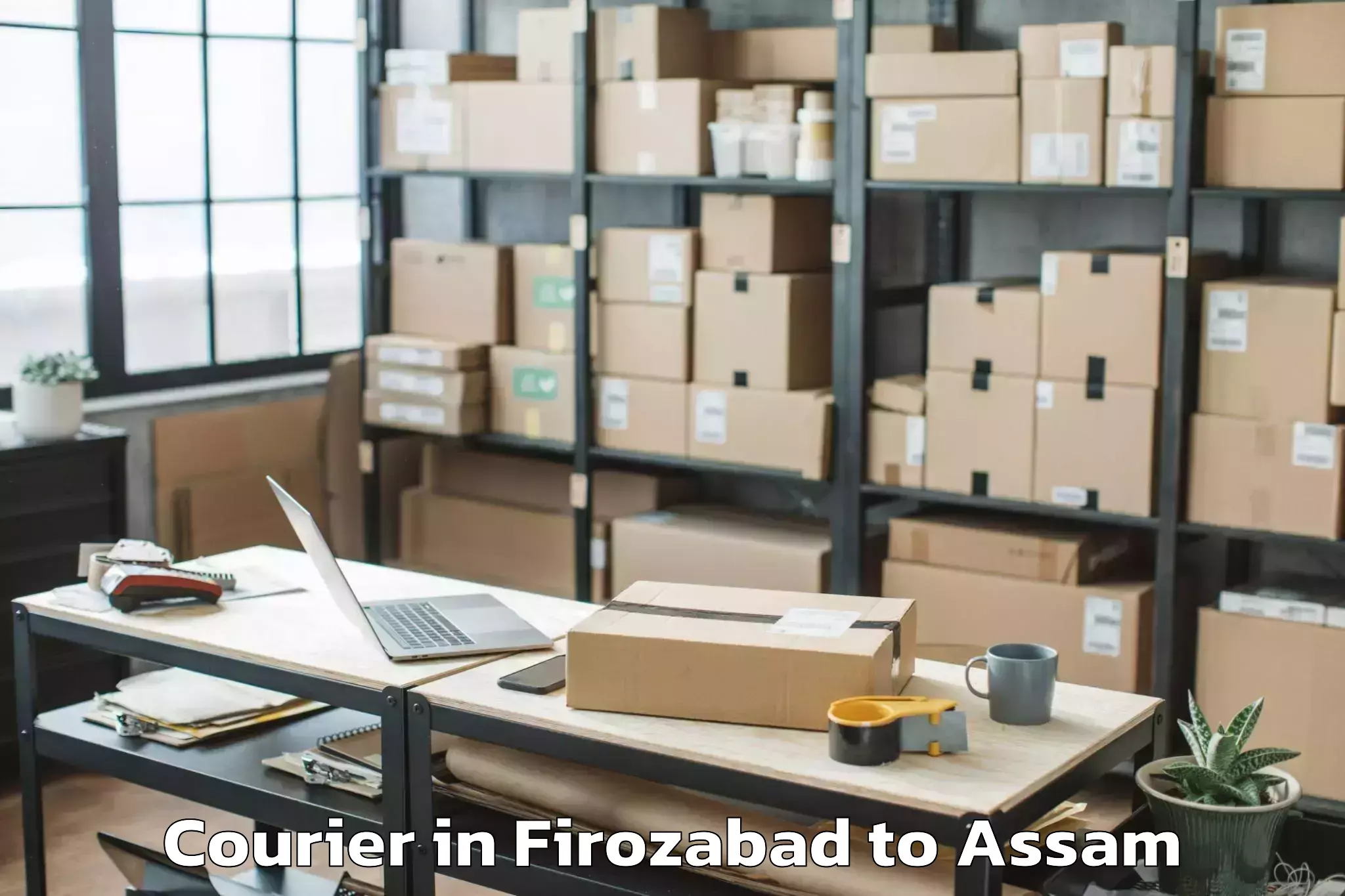 Trusted Firozabad to Dudhnoi Courier